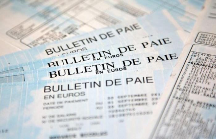 Brutte notizie per 6 milioni di francesi che non avranno un aumento di stipendio, le professioni interessate