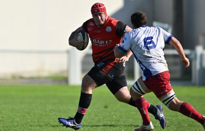 Rugby amatoriale – Federal 1: “Incredibile quello che la nostra squadra attira dal mondo…” Leader euforico, Gaillac alla prova di Castelsarrasin