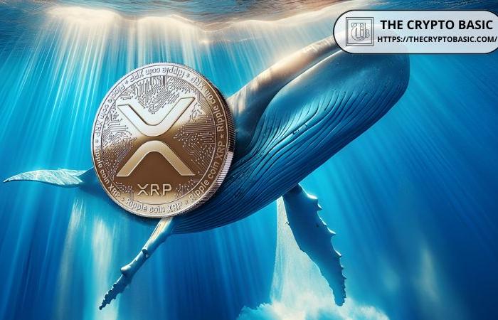 Le balene XRP accumulano 320 milioni di token in 72 ore mentre XRP si avvicina a $ 1