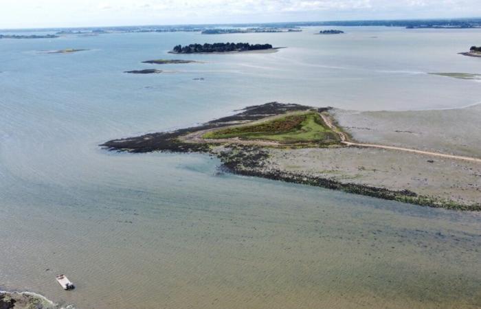 Vicino a Vannes, questo piccolo angolo di paradiso è accessibile solo con la bassa marea