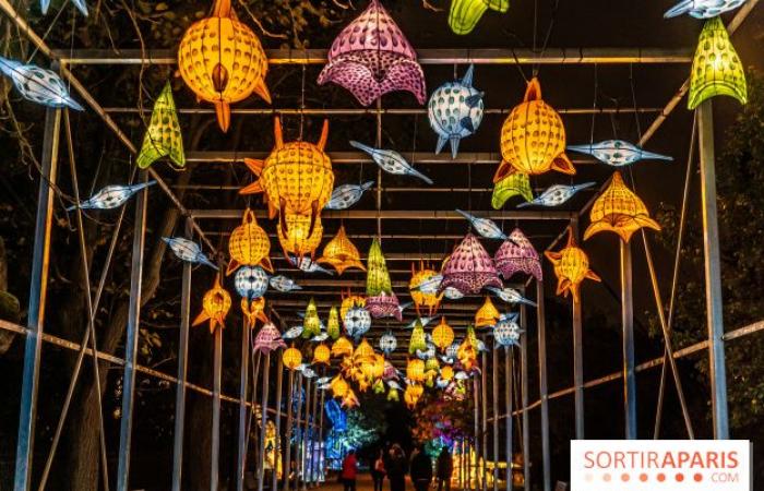 Giurassico in fase di illuminazione: il festival delle luci 2024-2025 al Jardin des Plantes – foto