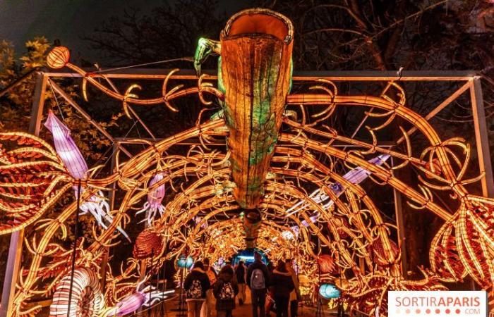 Giurassico in fase di illuminazione: il festival delle luci 2024-2025 al Jardin des Plantes – foto