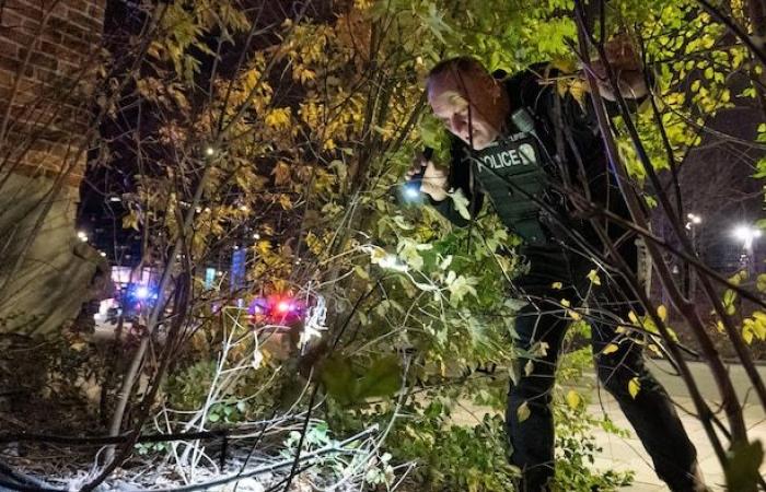 Bande di strada e inseguimenti a piedi: tour notturno con Éclipse