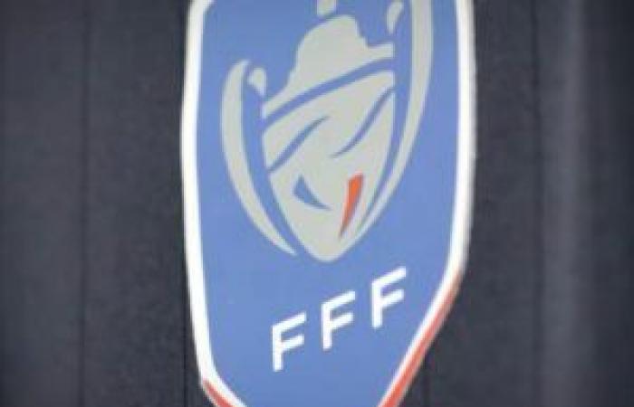 [Coupe de France] Les Herbiers elimina l'AC Ajaccio, Angoulême affronta Rodez, il programma completo del fine settimana