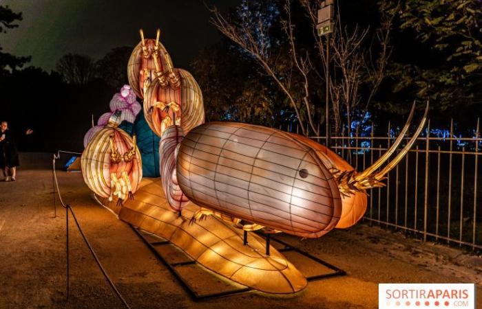 Giurassico in fase di illuminazione: il festival delle luci 2024-2025 al Jardin des Plantes – foto