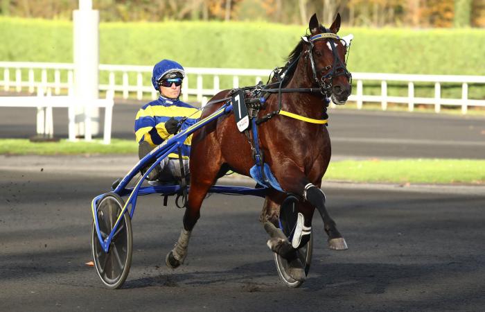 I primi 3 giornalisti Equidia per le gare del Prix de BretagneAmérique Q1 a Vincennes