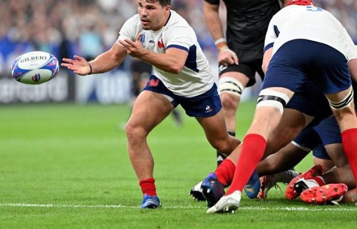 Francia – Nuova Zelanda: a che ora e su quale canale seguire la locandina tra Blues e All Blacks