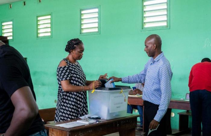 In Gabon si chiudono le votazioni per il referendum sulla nuova Costituzione