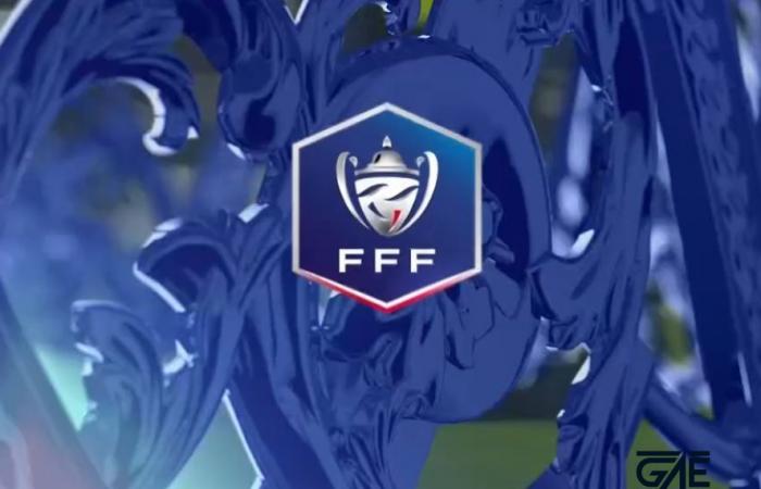 [Coupe de France] Les Herbiers elimina l'AC Ajaccio, Angoulême affronta Rodez, il programma completo del fine settimana