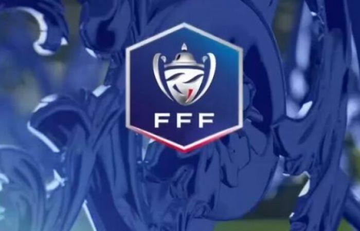 [Coupe de France] Les Herbiers elimina l'AC Ajaccio, Angoulême affronta Rodez, il programma completo del fine settimana