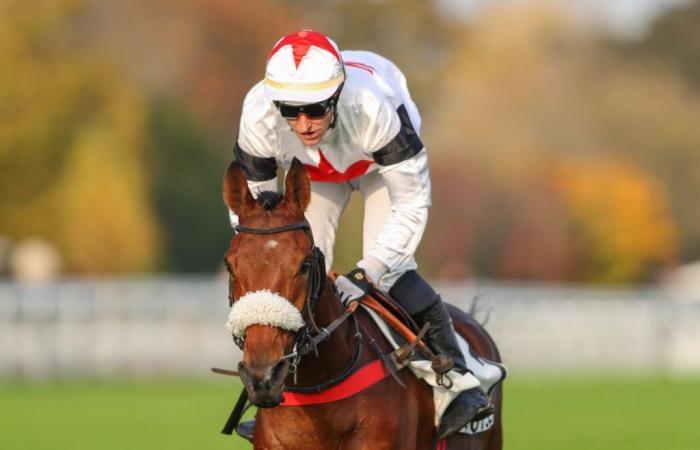 Sabato 16 novembre ad Auteuil: ancora Arnaud Chaillé-Chaillé