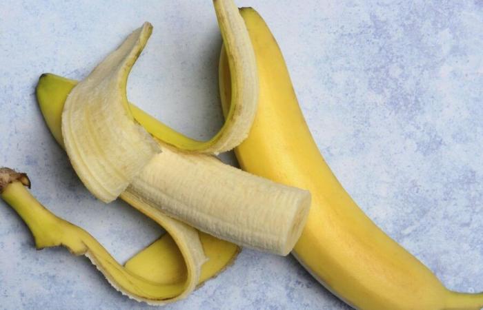 Fobia delle banane: il politico svedese ha paura del frutto