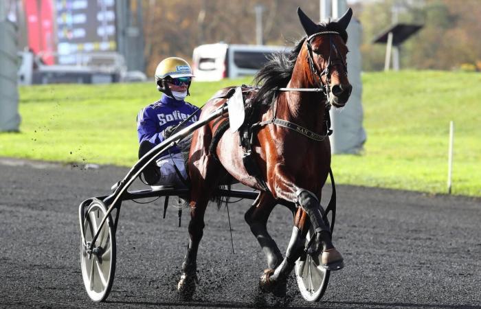 I primi 3 giornalisti Equidia per le gare del Prix de BretagneAmérique Q1 a Vincennes