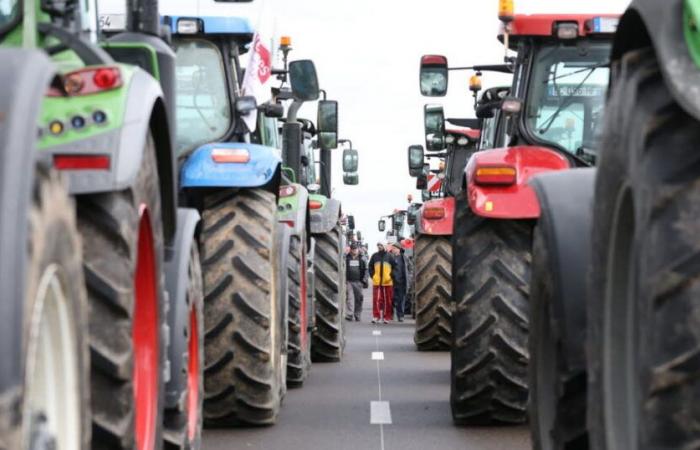 Basso Reno. Manifestazione degli agricoltori: lunedì difficoltà di circolazione