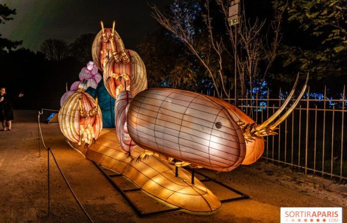 Giurassico in fase di illuminazione: il festival delle luci 2024-2025 al Jardin des Plantes – foto