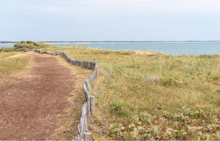 In Vandea, un comune vota a favore di una strategia di “estuarizzazione” di un fiume…