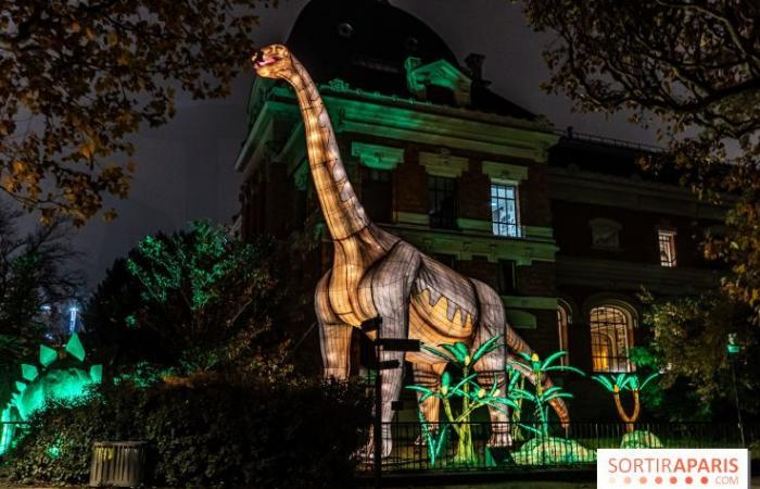 Giurassico in fase di illuminazione: il festival delle luci 2024-2025 al Jardin des Plantes – foto