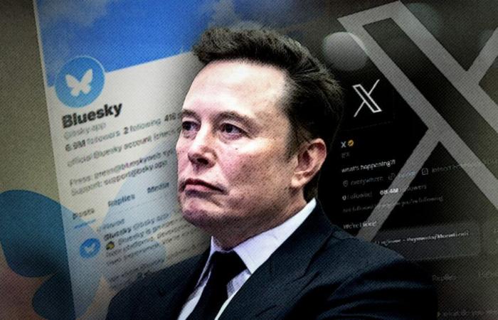 L’esodo di X: Bluesky potrebbe innescare la fine della piattaforma di social media di Elon Musk? | Notizie su scienza, clima e tecnologia