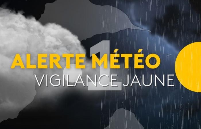 Isole del Nord e Guadalupa in allerta gialla per forti piogge e temporali, particolarmente preoccupato il nord di Basse-Terre