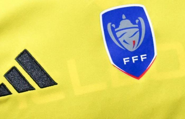 Metz e Pau senza brillare, Caen senza forzare