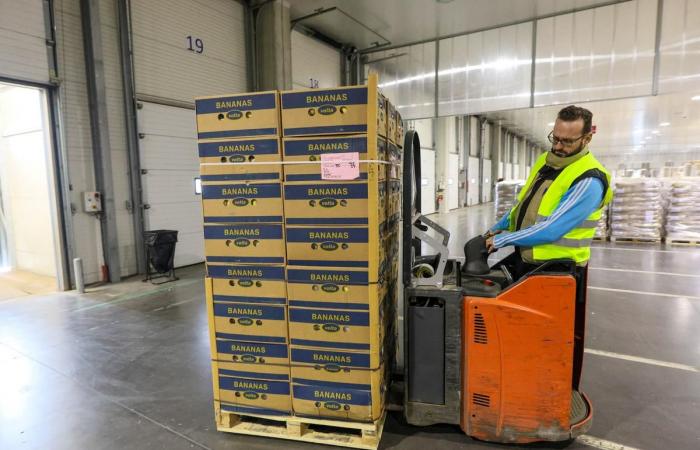 Primver svolge la sua attività a livello internazionale presso il terminal frutta del porto di Sète (Hérault)