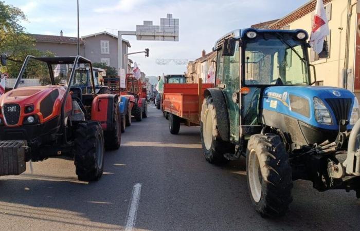 Crisi agricola: nuove operazioni di lumache e incendi di campo nella Drôme-Ardèche lunedì 18 novembre