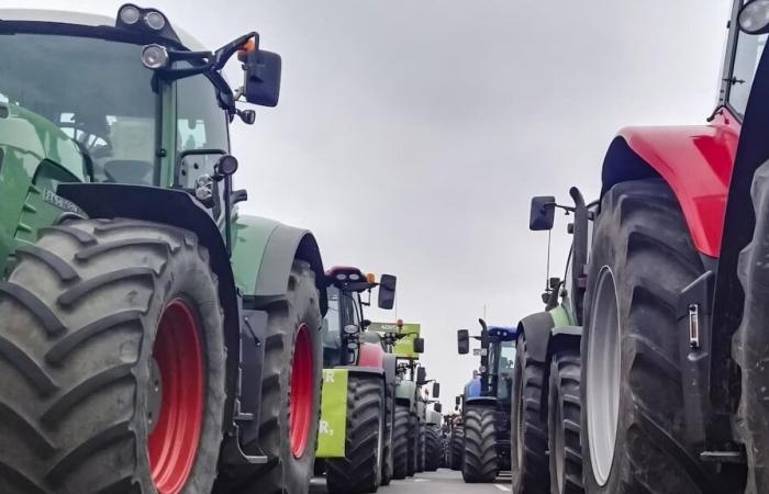 Gli agricoltori del Vaucluse annunciano nuovi blocchi ad Avignone