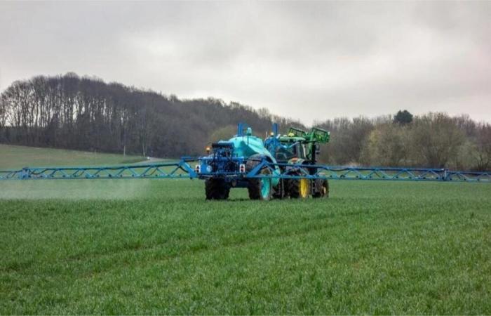 Gli agricoltori biologici della Côtes-d'Armor denunciano l'uso dell'erbicida prosulfocarb