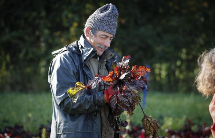 nella Charente-Maritime, il successo dei progetti partecipativi nelle aziende agricole