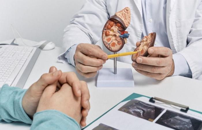 RTL Infos – Letz Be Healthy: Urologia: al centro della prevenzione e della cura del cancro alla prostata