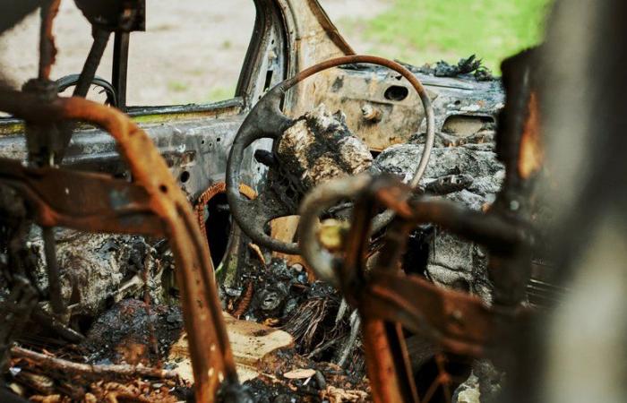 Cinque morti in un terribile incidente vicino a Gaillac in Occitania: l’auto si è schiantata contro un platano prima di prendere fuoco