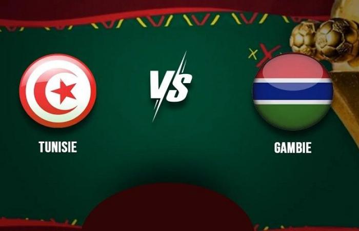 Mondiale di calcio: Tunisia-Gambia, su quali canali si potranno vedere le partite di lunedì 18 novembre?