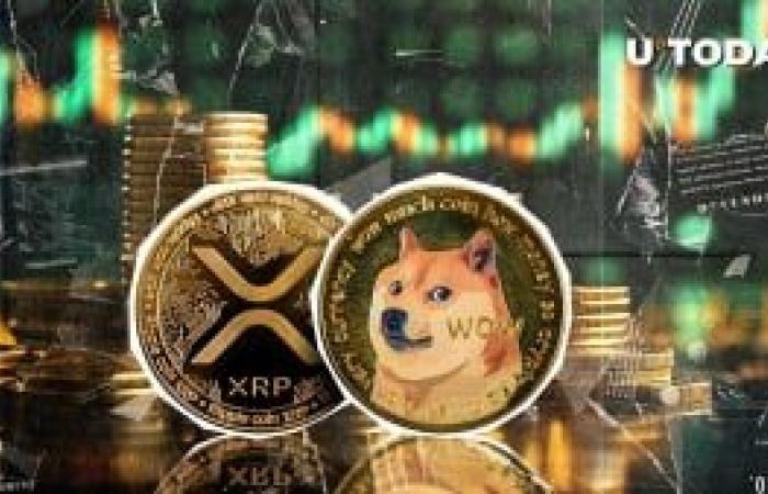 XRP lancia Dogecoin dopo un’epica corsa che ha superato il dollaro