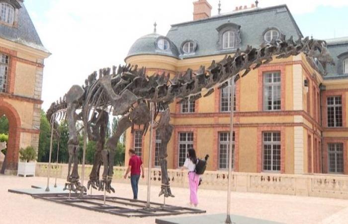 Un collezionista paga una somma enorme per acquistare lo scheletro del più grande dinosauro mai messo all’asta in Francia