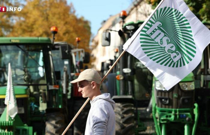 LIVE – Agricoltori arrabbiati: 80 dipartimenti mobilitati da questa domenica, secondo la FNSEA