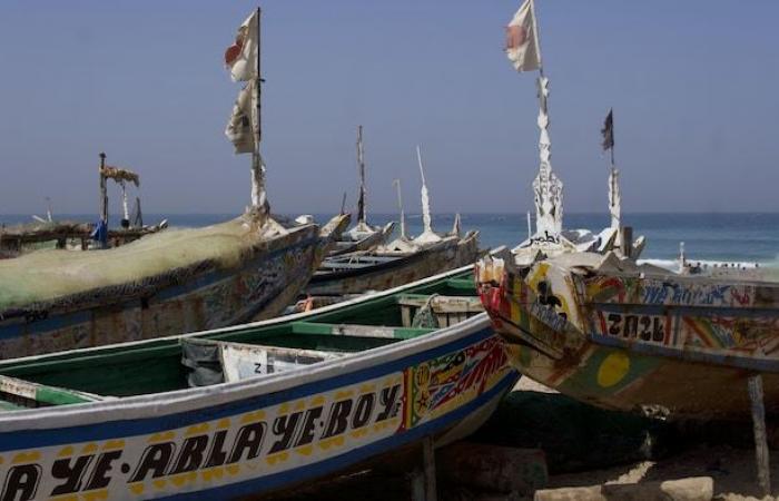 “La morte non fa più paura”: in Senegal, l'esodo verso l'oceano | La crisi dei migranti