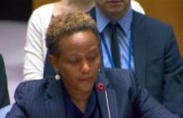 L’Onu accusata di essere “anti-israeliana” dallo Stato ebraico: “Le accuse di genocidio sono infondate”