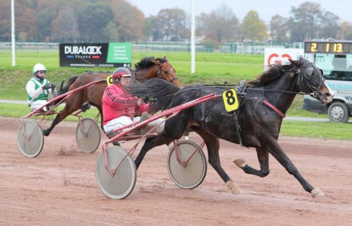 Finale regionale bambini di 5 anni (Ovest): La sorpresa Jade Hérinière