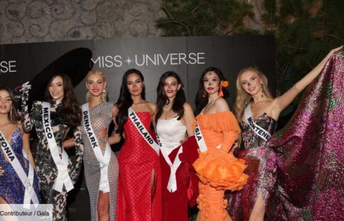 Miss Universo 2024: chi è la vincitrice Victoria Kjær Theilvig, Miss Danimarca?