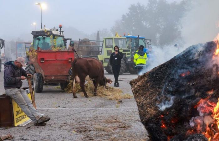 Mobilitazione degli agricoltori: cosa potete aspettarvi vicino a voi questa domenica?