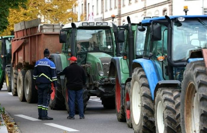 A10, N118… I punti di blocco previsti dagli agricoltori per la mobilitazione di domenica nell'Île-de-France