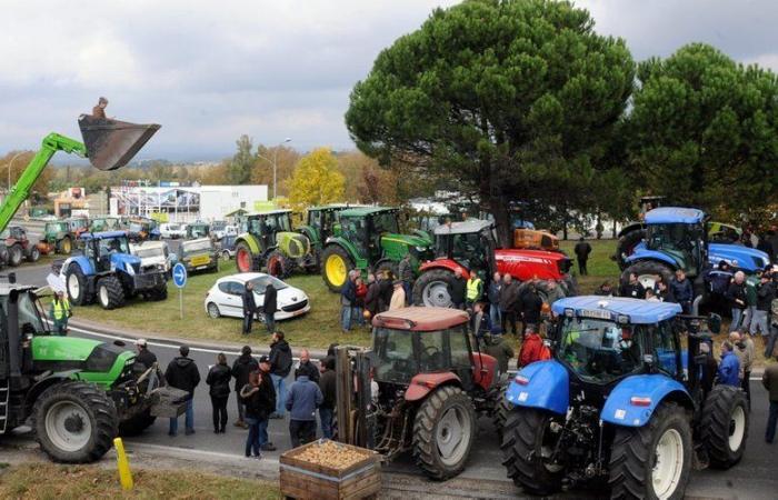 La rabbia degli agricoltori: dove manifesteranno e cosa aspettarsi questo lunedì in Francia e in Occitania?