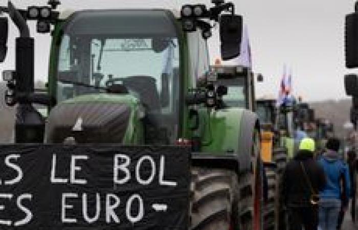 LIVE – Agricoltori arrabbiati: 80 dipartimenti mobilitati da questa domenica, secondo la FNSEA