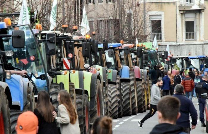 La rabbia degli agricoltori: “luci di soccorso”, operazione di filtraggio, azioni mirate… Cosa è previsto per lunedì nel vostro dipartimento contro il trattato Mercosur