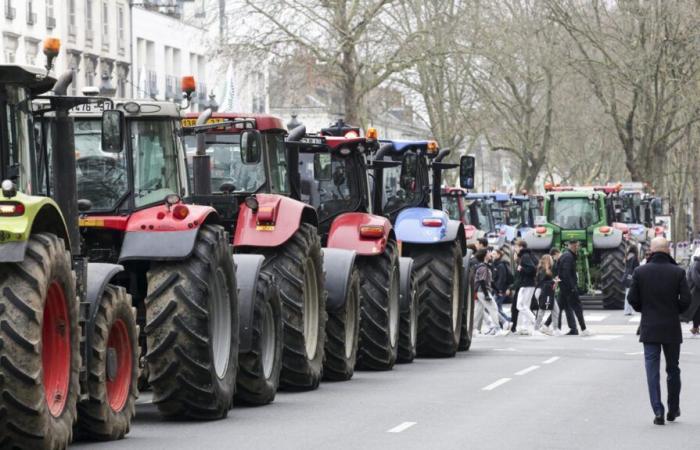 quali azioni nell'Indre-et-Loire?