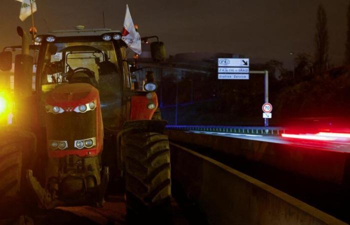 lunedì i sindacati lanciano l’“atto 2” della mobilitazione agricola