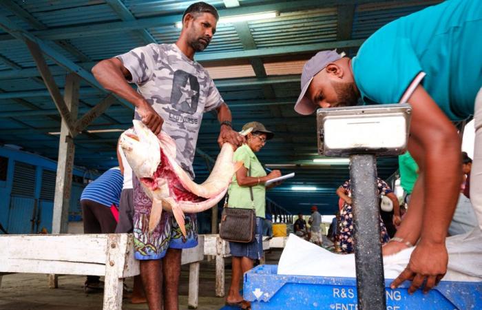 La stampa in Guyana | Tensioni sociali nel nuovo Eldorado del petrolio