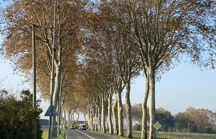 Cinque morti in un drammatico incidente stradale a Gaillac nel Tarn, le vittime carbonizzate