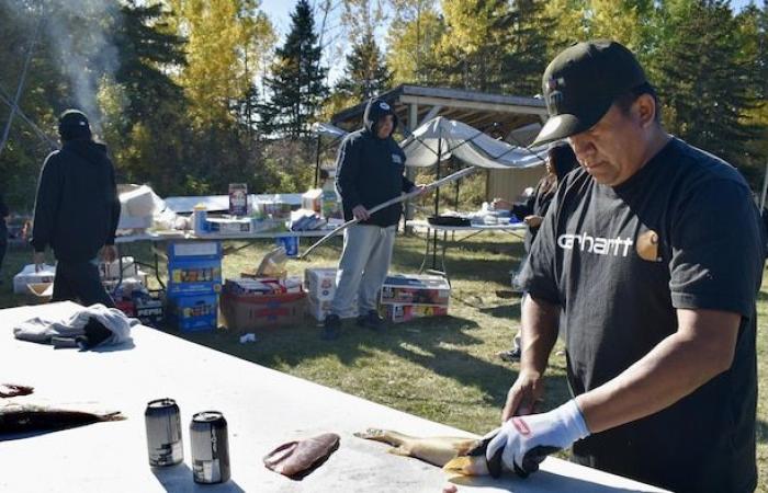 Grassy Narrows: il fiume velenoso