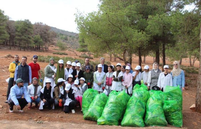 Tafogalt: organizzare campagne di sensibilizzazione e stabilire una buona cultura ambientale